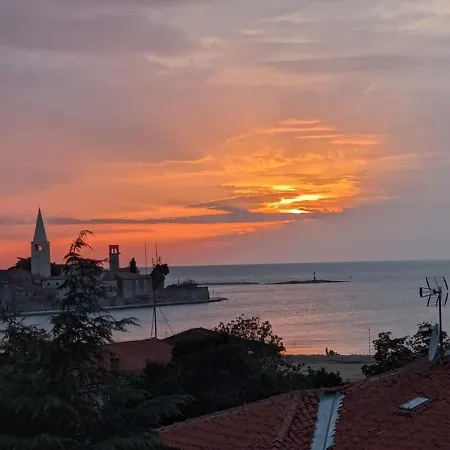 D Διαμέρισμα *